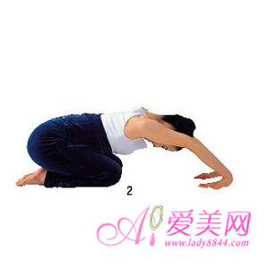  ֲ<a href=http://www.tjyoga.com/baodian/jianfei/ target=_blank class=infotextkey>٤</a>  ƽ 